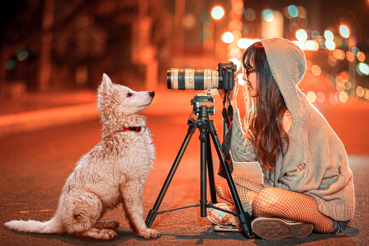 Dog in front of camera